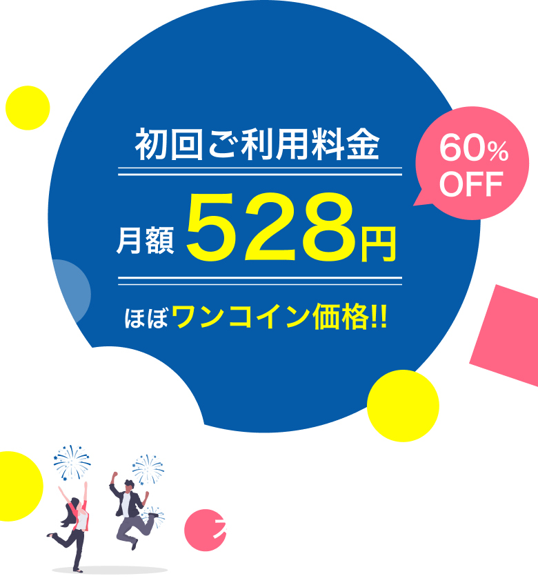 月額528円 ほぼワンコイン価格!!