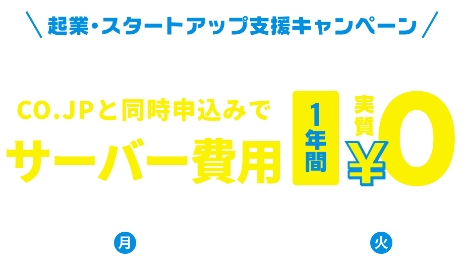 co.jpと同時申込みでサーバー費用1年間実質¥0