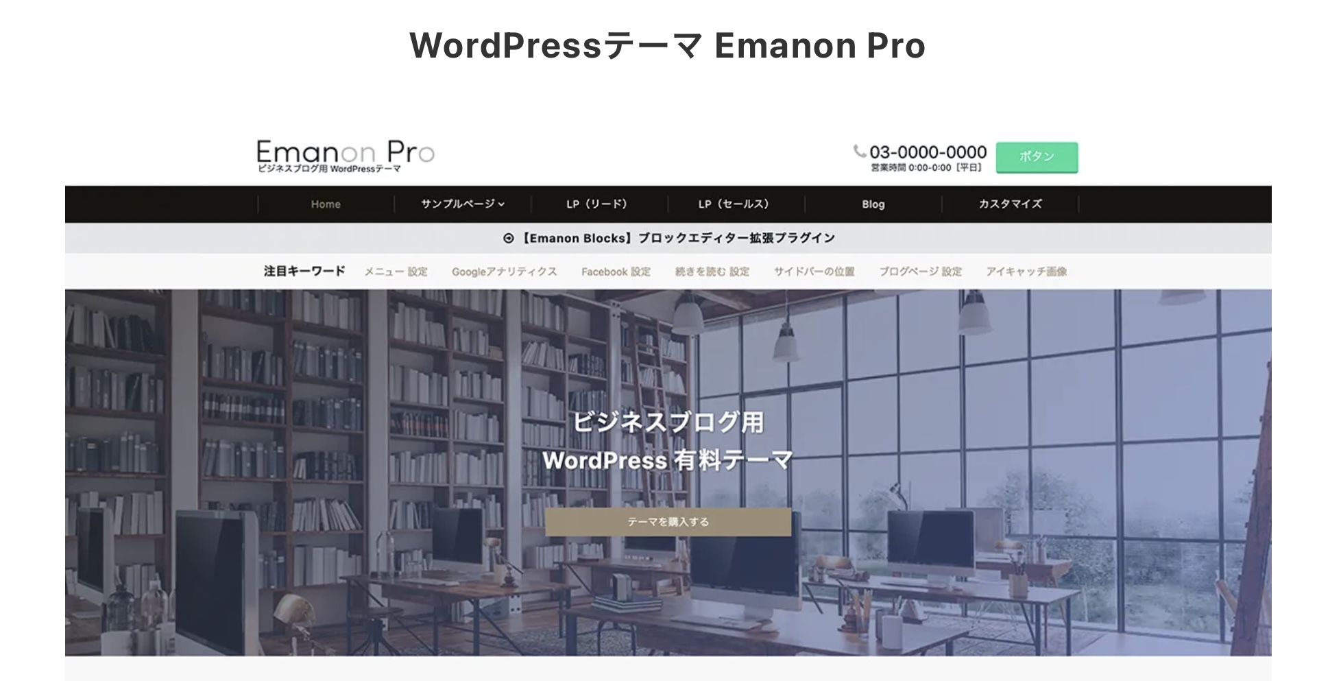 Emanon Pro（エマトン・プロ）