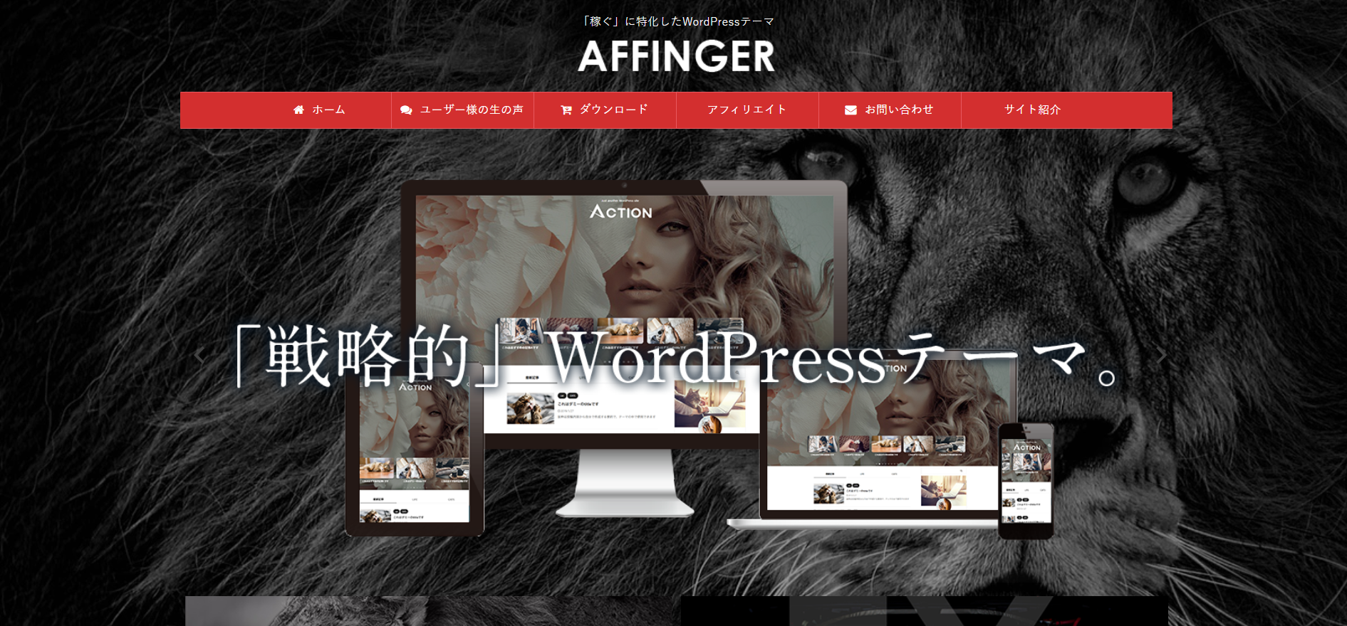 AFFINGER6